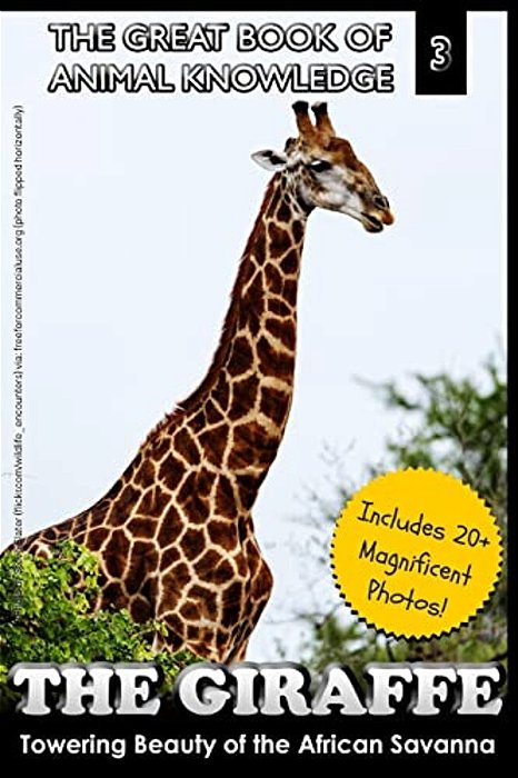 The Giraffe: Towering Beauty Of The African Savanna-..
