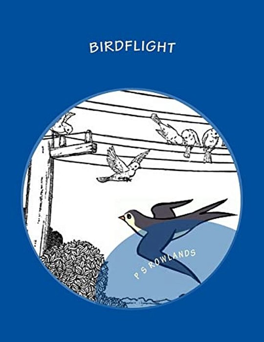 Birdflight: A Science Drama Playscript-..