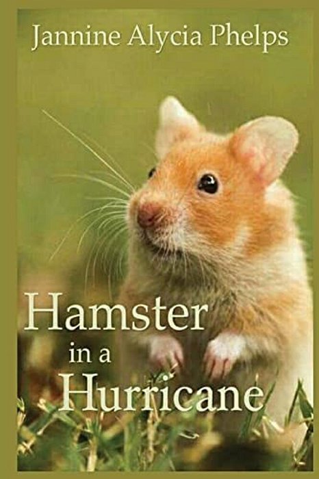 Hamster In A Hurricane-..