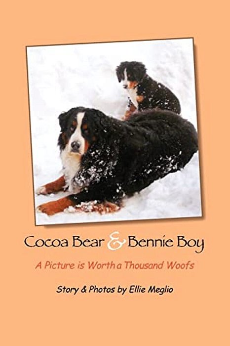 Cocoa Bear & Bennie Boy: A Picture Is Worth A Thousand Woofs-..