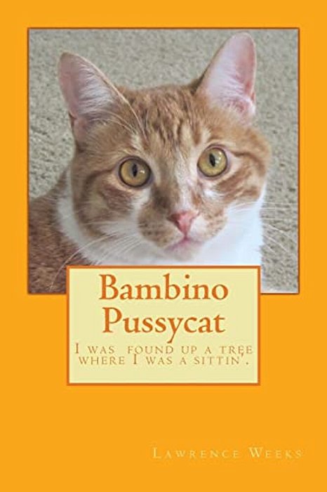 Bambino Pussycat-..