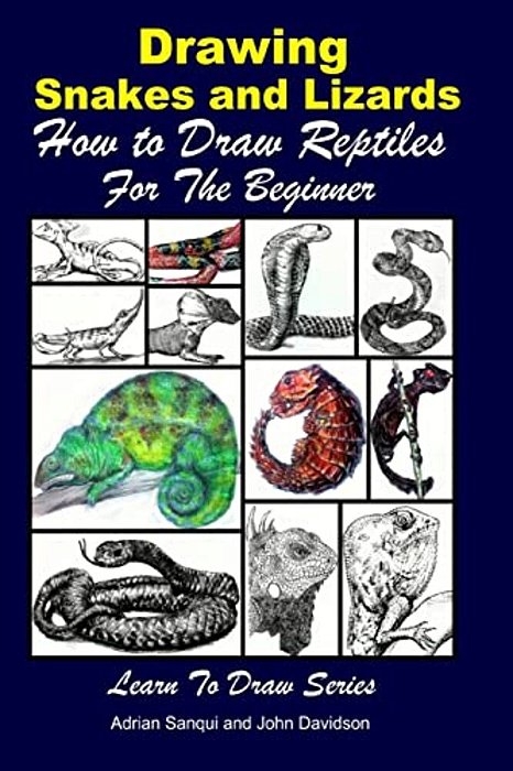 Drawing Snakes And Lizards - How To Draw Reptiles For The Beginner-..