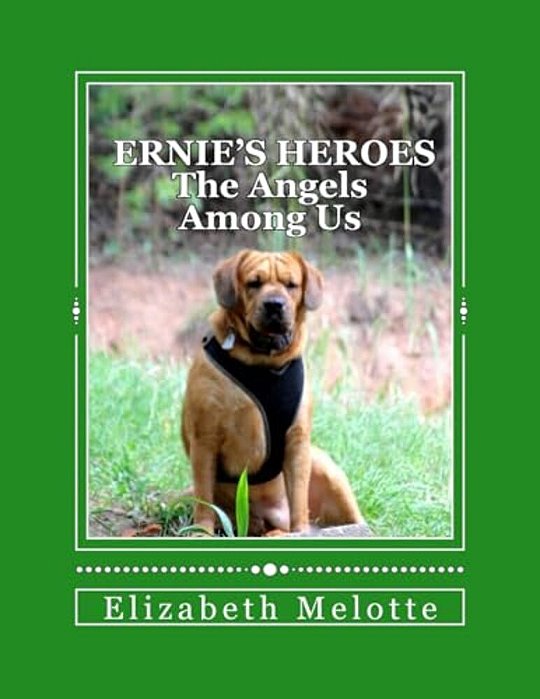 Ernie's Heroes: The Angels Among US-..
