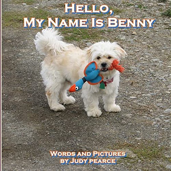 Hello, My Name Is Benny-..