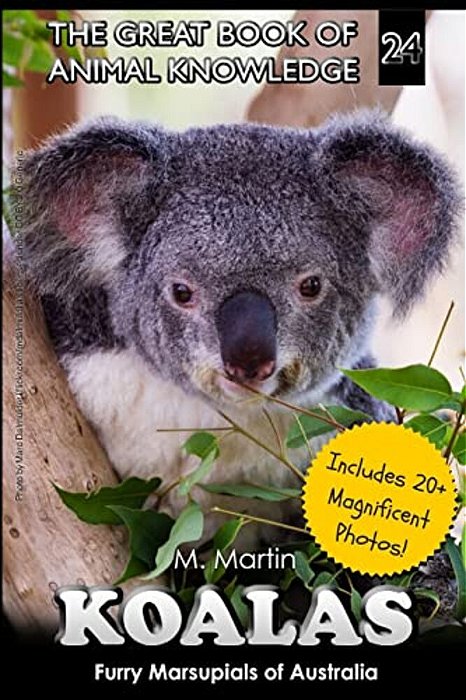 Koalas: Furry Marsupials Of Australia-..