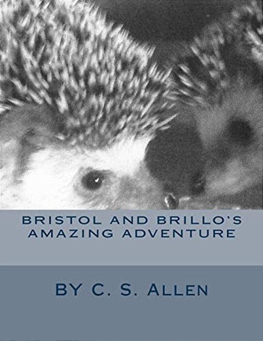 Bristol And Brillo's Amazing Adventure-..
