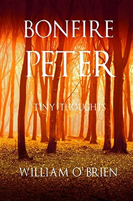 Bonfire Peter: (Peter: A Darkened Fairytale, Vol 13)-..