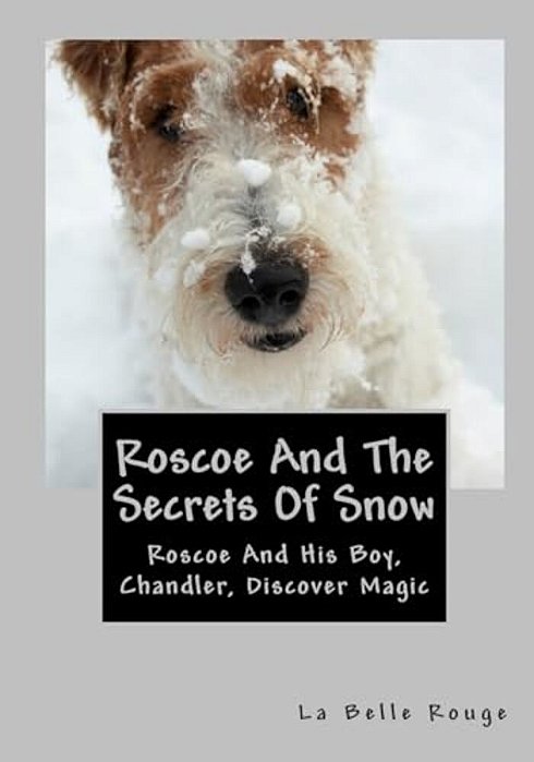Roscoe And The Secrets Of Snow: Roscoe And His Boy Chandler Discover Magic-..