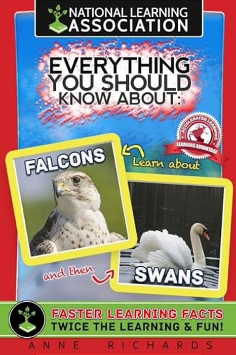 Everything You Should Know About Falcons And Swans-..