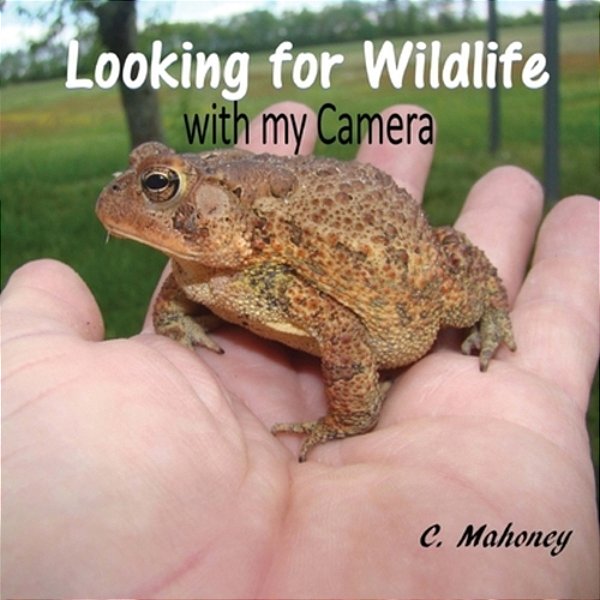 Looking For Wildlife With My Camera: Wildlife Facts And Nature Photos For Kids-..