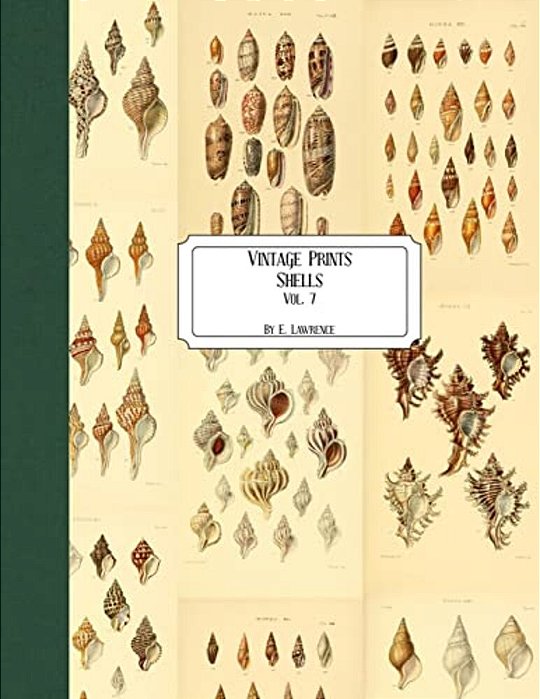 Vintage Prints: Shells: Vol. 7-..