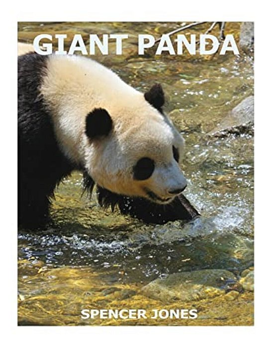 Giant Panda-..