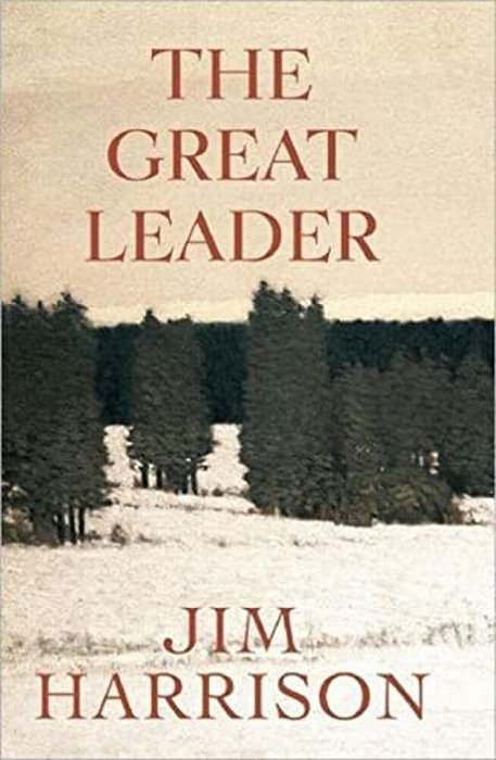 The Great Leader: A Faux Mystery-..