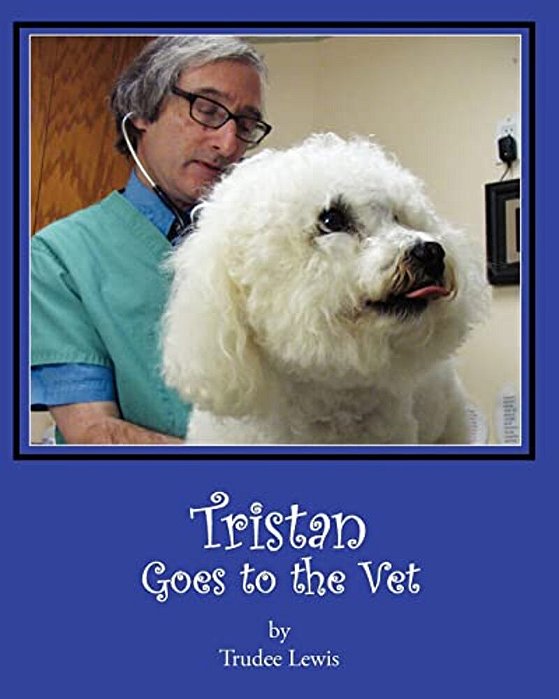Tristan Goes To The Vet-..