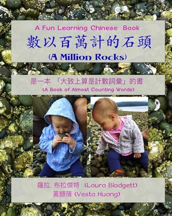 A Million Rocks (In Chinese): A Book Of Almost Counting Words-..