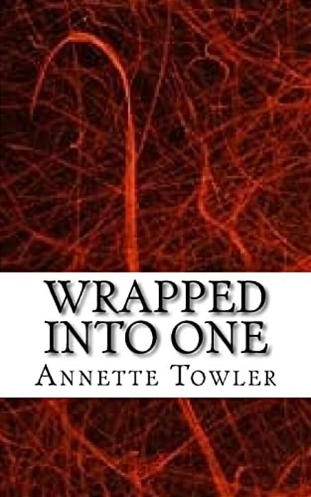Wrapped Into One: Collection Of Limericks-..