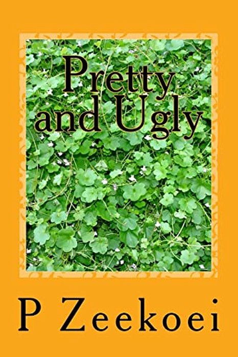 Pretty And Ugly: The Collection-..