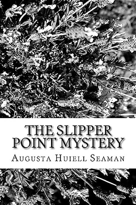 The Slipper Point Mystery-..
