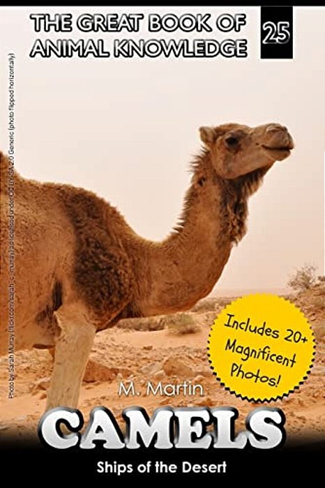 Camels: Ships Of The Desert-..