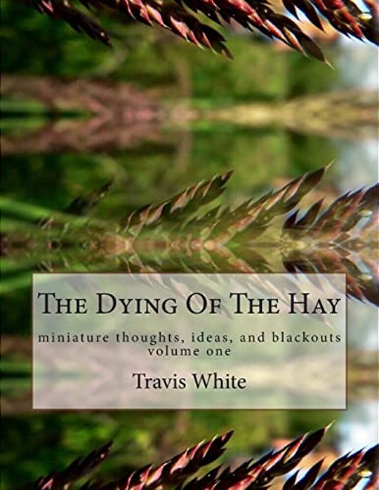 The Dying Of The Hay: Miniature Thoughts, Ideas, And Blackouts-..