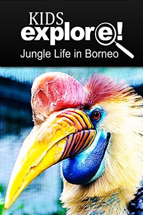 Jungle Life In Borneo - Kids Explore: Animal Books Nonfiction - Books Ages 5-6-..