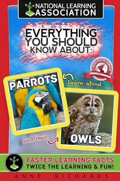 Everything You Should Know About: Parrots And Owls-..