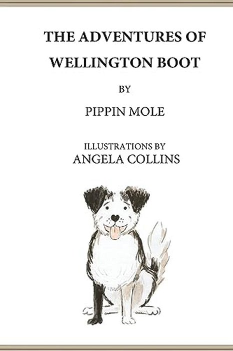 The Adventures Of Wellington Boot-..