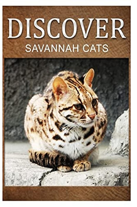 Savannah Cats - Discover: Early Reader's Wildlife Photography Book-..