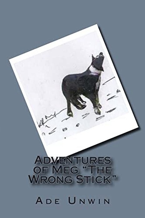 Adventures Of Meg "The Wrong Stick": A Clever Border Collie Dogs Diary-..