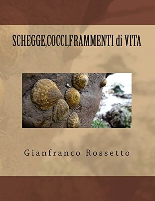 Shegge, Cocci, Frammenti Di Vita-..