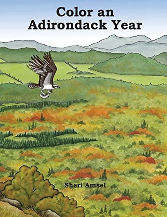 Color An Adirondack Year-..