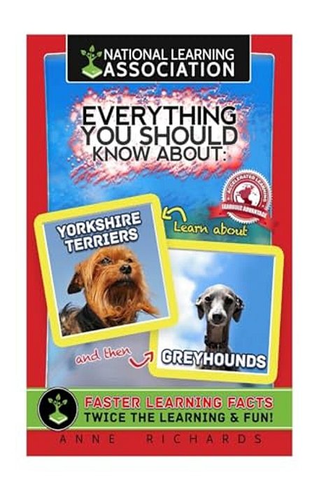 Everything You Should Know About Yorkshire Terriers And Greyhounds-..