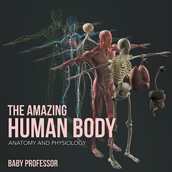The Amazing Human Body Anatomy And Physiology-..