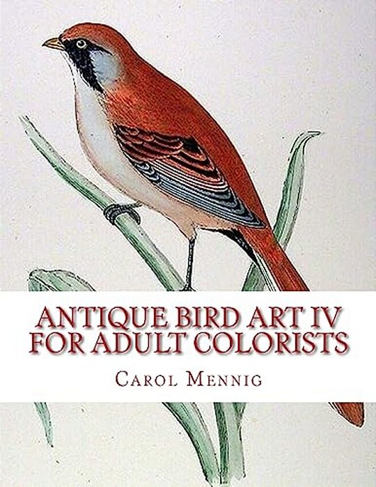 Antique Bird Art IV - For Adult Colorists-..