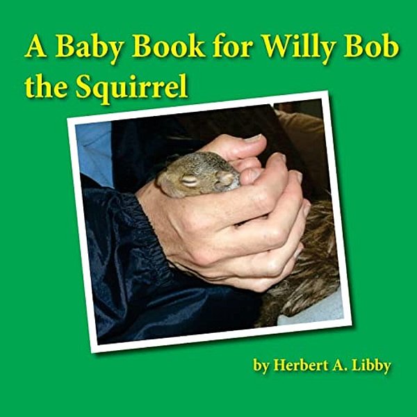 A Baby Book For Willy Bob The Squirrel-..