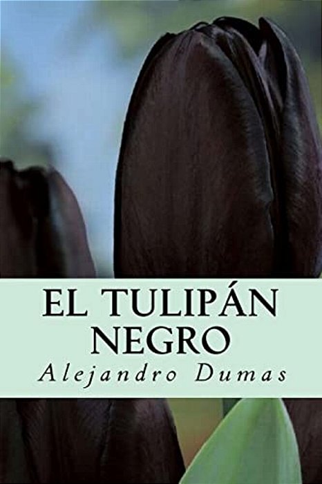 El Tulipán Negro-..