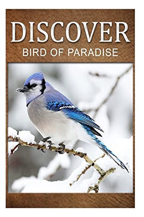 Birds Of Paradise - Discover: Early Reader's Wildlife Photography Book-..
