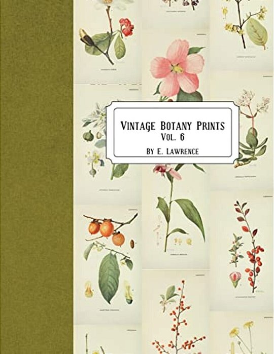 Vintage Botany Prints: Vol. 6-..