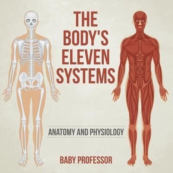 The Body's Eleven Systems Anatomy And Physiology-..