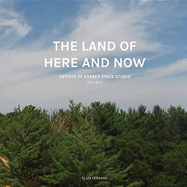 The Land Of Here And Now: Artists Of Shared Space Studio, 2011-2015-..