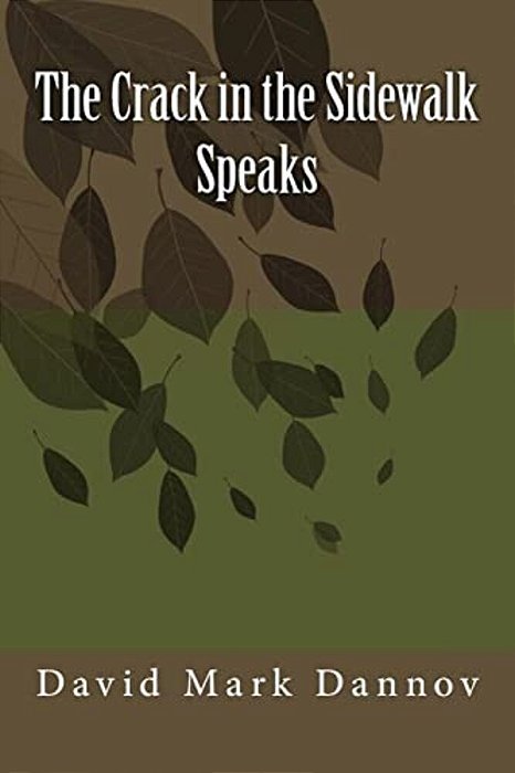 The Crack In The Sidewalk Speaks-..