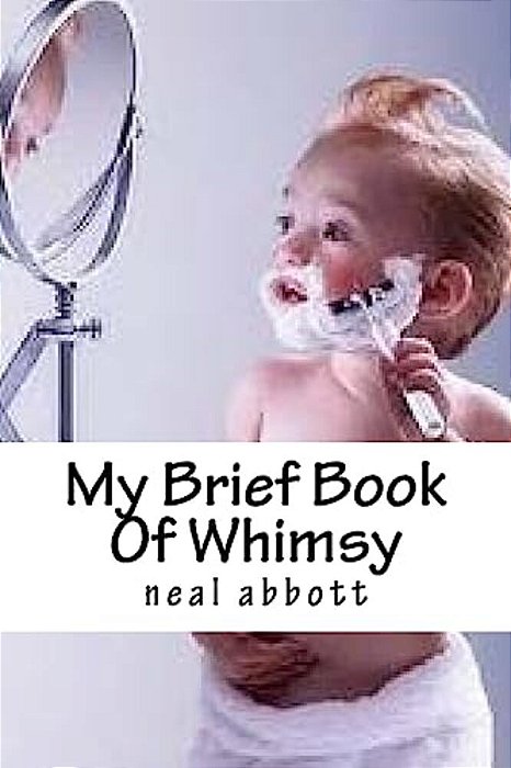 My Brief Book Of Whimsy-..