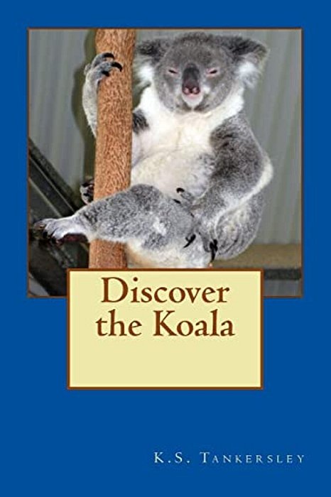Discover The Koala-..
