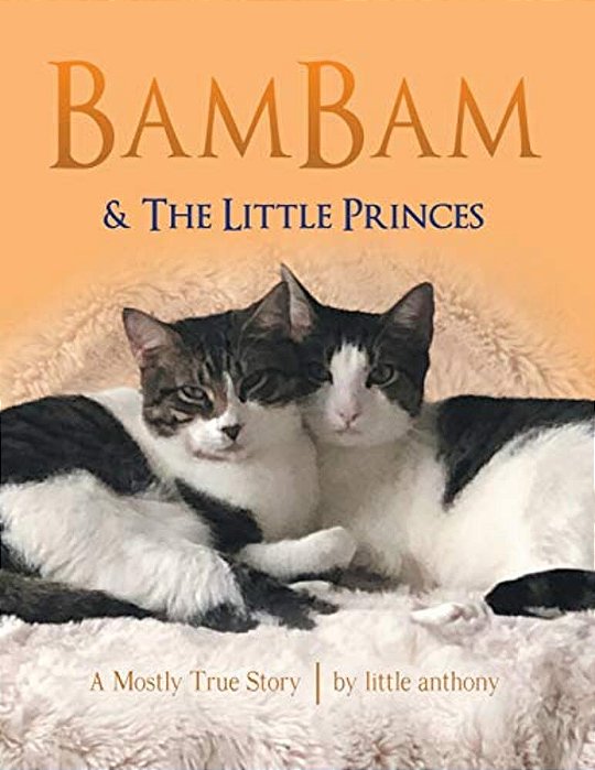 Bambam & The Little Princes: A Mostly True Story-..