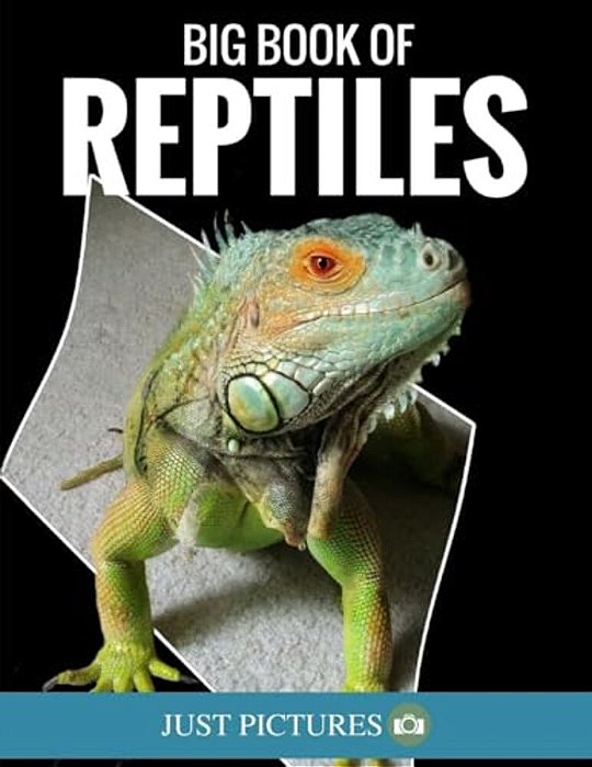 Big Book Of Reptiles: Just Pictures!-..
