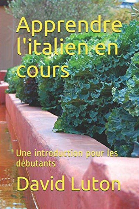 Apprendre L'Italien En Cours: Une Introduction Pour Les Débutants-..