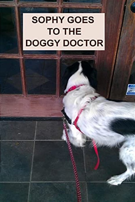 Sophy Goes To The Doggy Doctor-..
