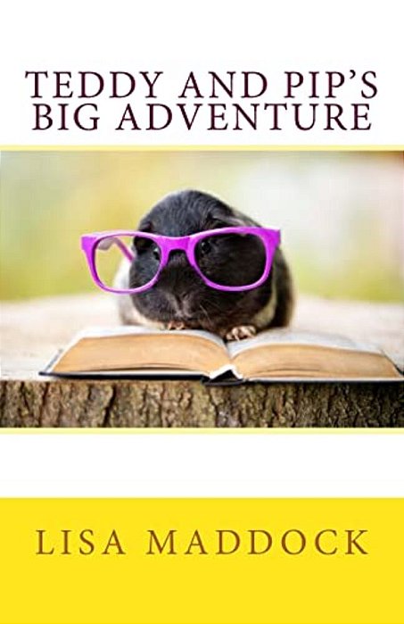 Teddy And Pip's Big Adventure: A Teddy And Pip Story-..