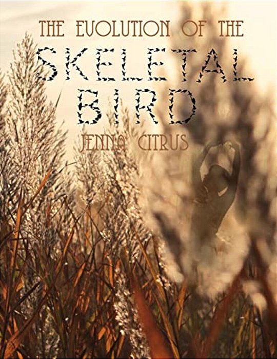 The Evolution Of The Skeletal Bird-..