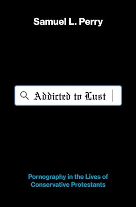 Addicted To Lust: Pornography In The Lives Of Conservative Protestants-..